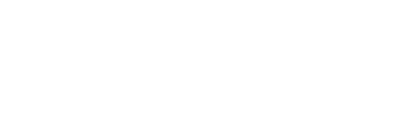 CI_SAUDESC